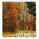 Automne Décor Rideau De Nuageux Jour Couvert en Septembre Arbustes Pins Trottoir dans Park Forest Décor des Set avecs Orange Vert - B07TGD1TZT